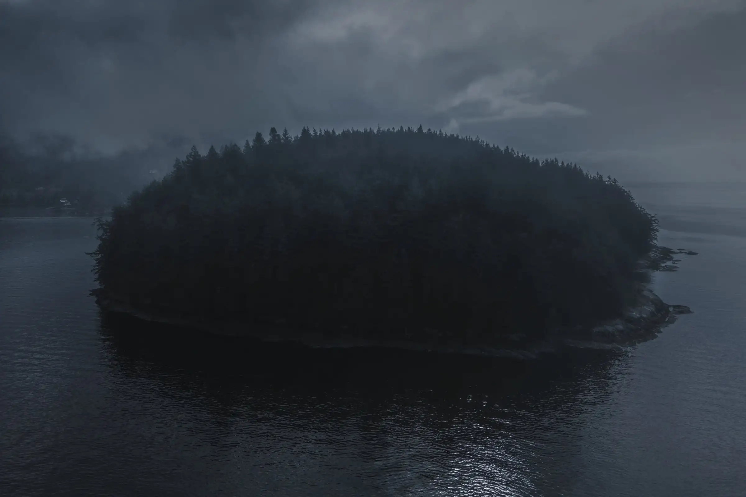 The Governors Point peninsula in the Salish Sea, from the air
